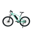 27.5 Inch 36V 250W High Configuration Mountain Electric Bike with Lithium Battery